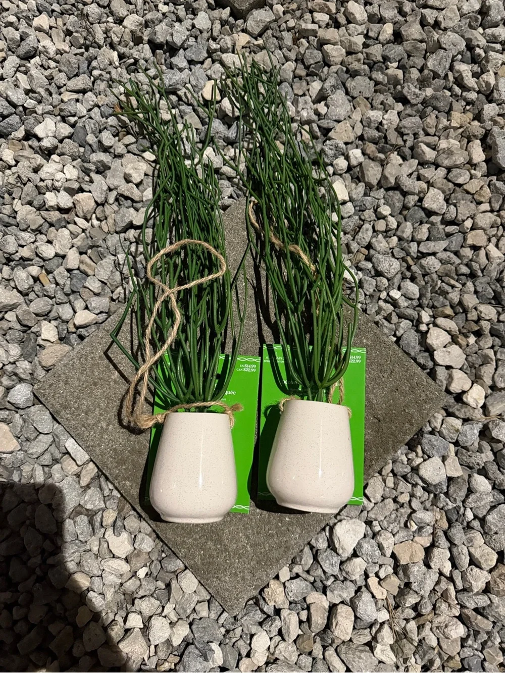 Ceramic White Hanging Planter with Green Ruscus Stems